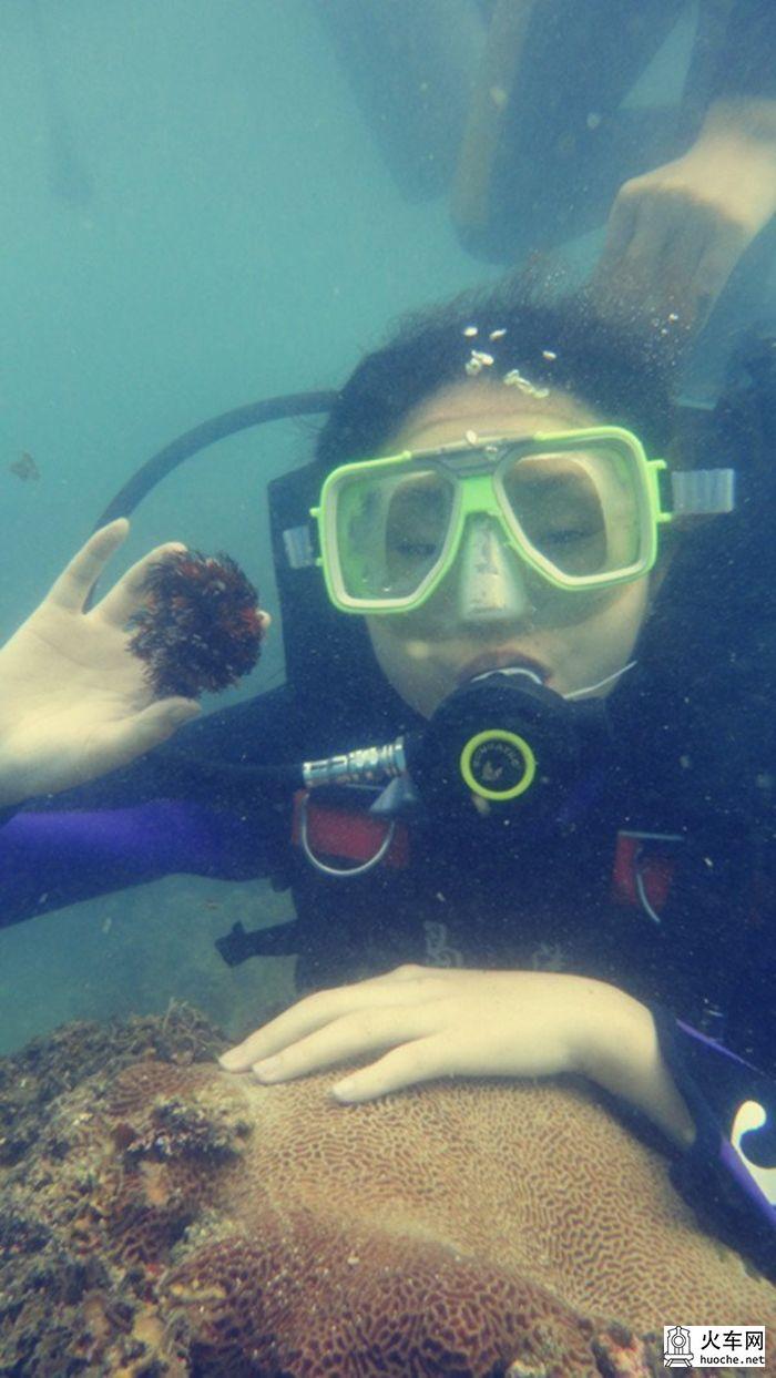 去你的那片海梦幻之旅23