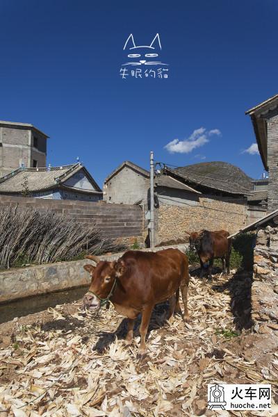【滇西 香大丽】一次旅行 说走就走34